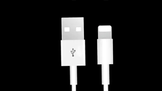 Vente entière prix d'usine 1m 2m 3m Certification Mfi charge rapide fil de données de téléphone portable USB cordon Lightning câble de chargeur Apple iPhone
